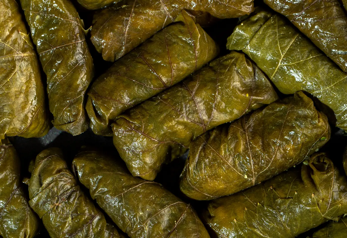 Stuffed grape leaves for catering sides
